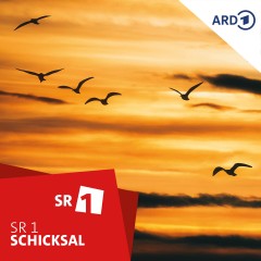 Schicksal - der SR1-Podcast über das Leben