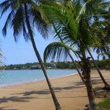 Themenbild zu 'Reise & Freizeit'