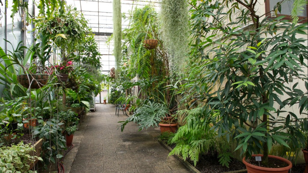 Seit Mitte März geschlossen: der Botanische Garten Saarbrücken