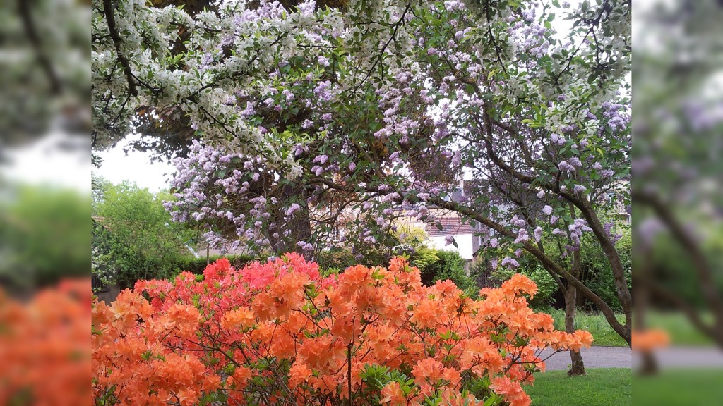 Botanischer Garten Metz (Foto: Ville de Metz)