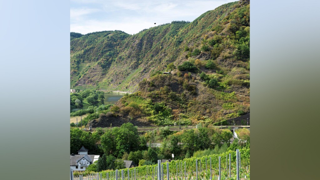 Dort, wo die Mosel eine 180-Grad-Wende macht (Foto: Jochen Marmit)
