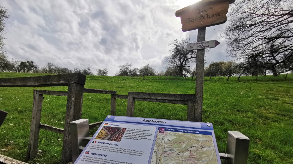 Auf dem Wehinger Viezpfad (Foto: SR(Oliver Buchholz)