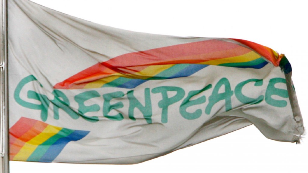 Greenpeace-Flagge (Foto: dpa-Report)
