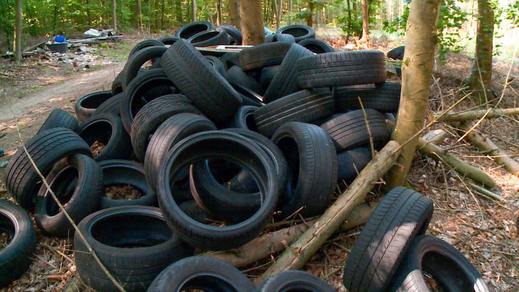 Illegal abgeladener Müll größtenteils in Form von Autoreifen liegt im Wald (Foto: SR)