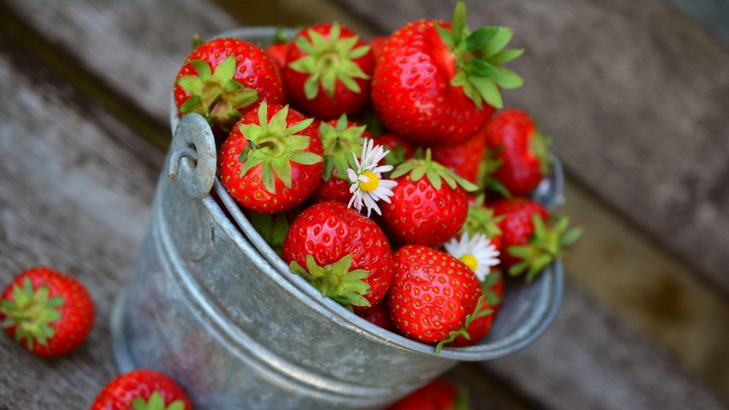 Erdbeeren in einem kleinen Eimerchen