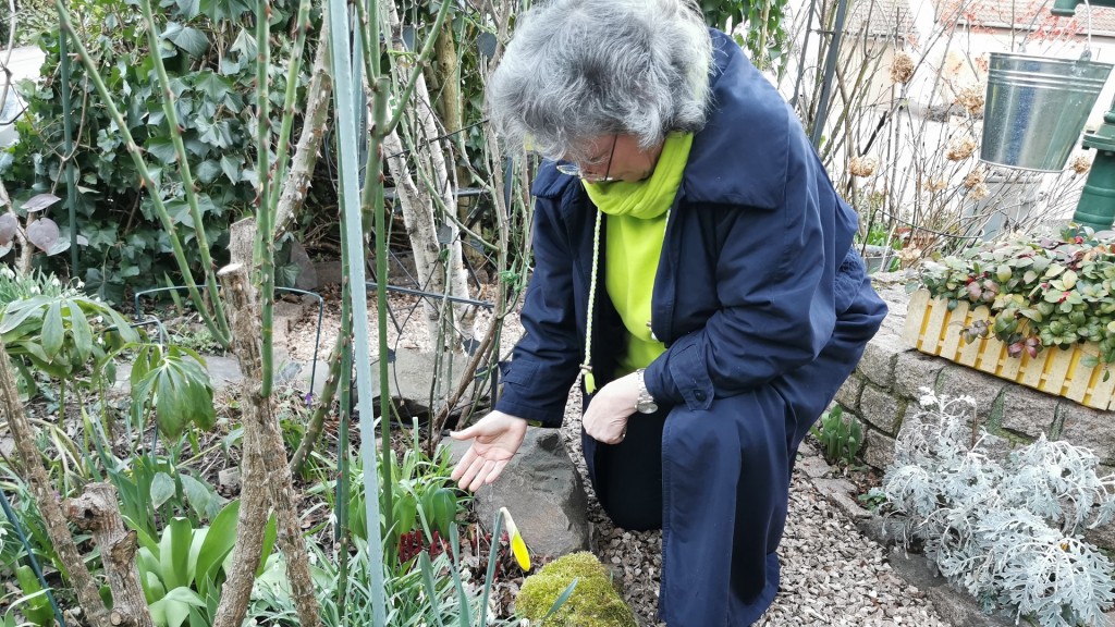 Heide Traut