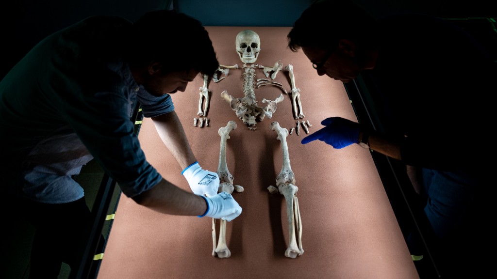 Mitarbeiter des Landesmuseums drapieren sterblichen Überreste der vor rund 9000 Jahren gestorbenen Schamanin von Bad Dürrenberg