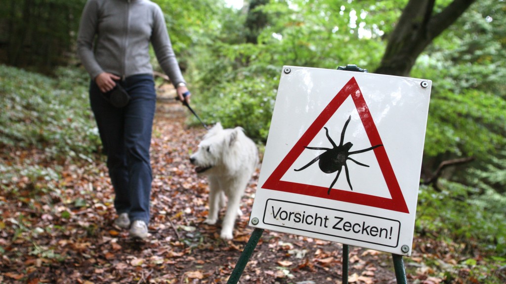 Spaziergängerin mit Hund bei Zeckenwarnschild
