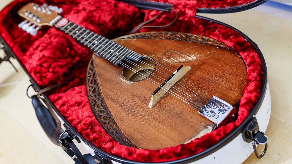Eine Mandoline liegt in einem Koffer