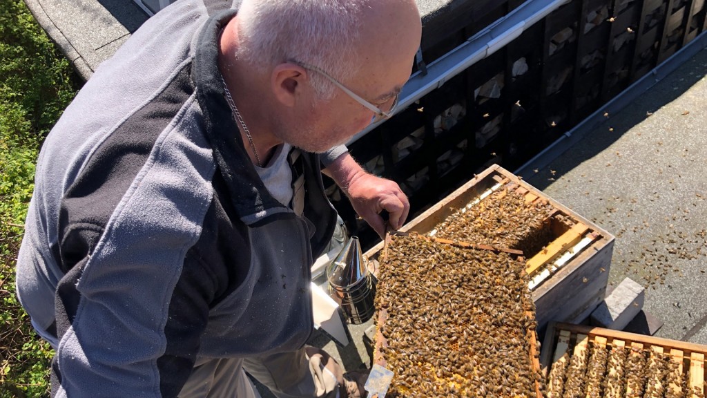 Michael Simon und seine Biene