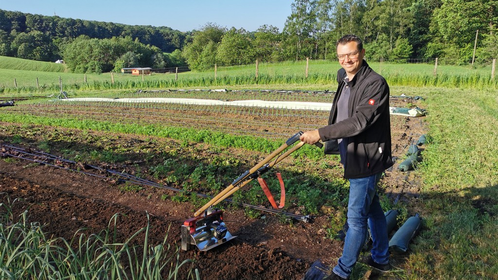 SR 3-Reporter Oliver Buchholz hilft bei der Feldarbeit