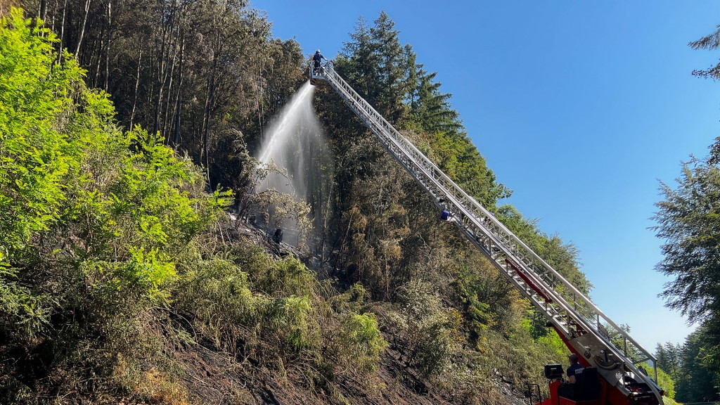 Foto: Die Feuerwehr bei einem Waldbrand zwischen Pirmasens und Rodalben
