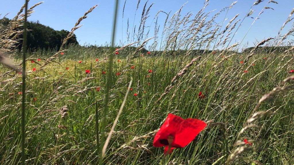 Die Bliesgau-Landschaft