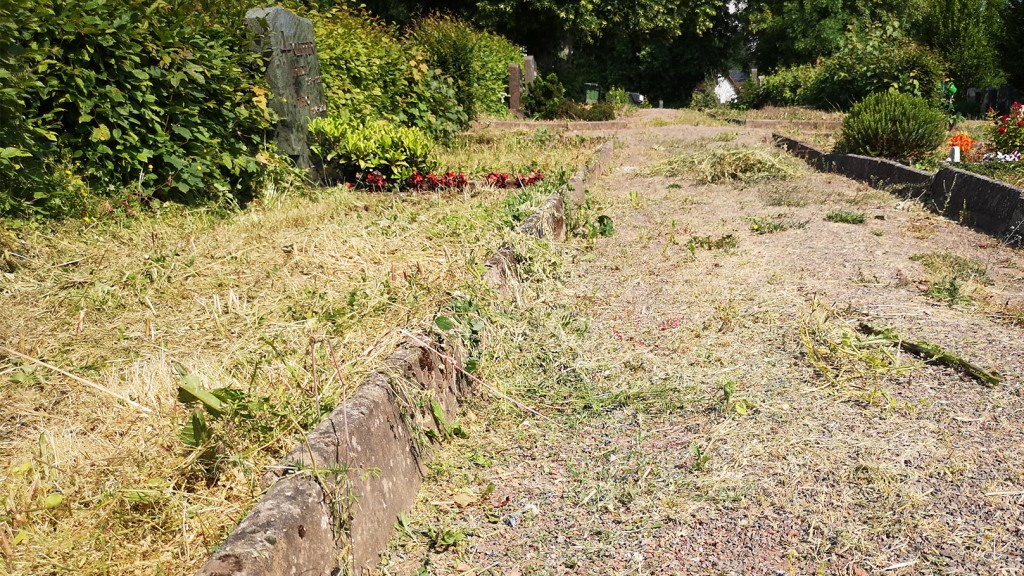 Ein Weg auf dem Friedhof in Köllerbach mit Unkraut