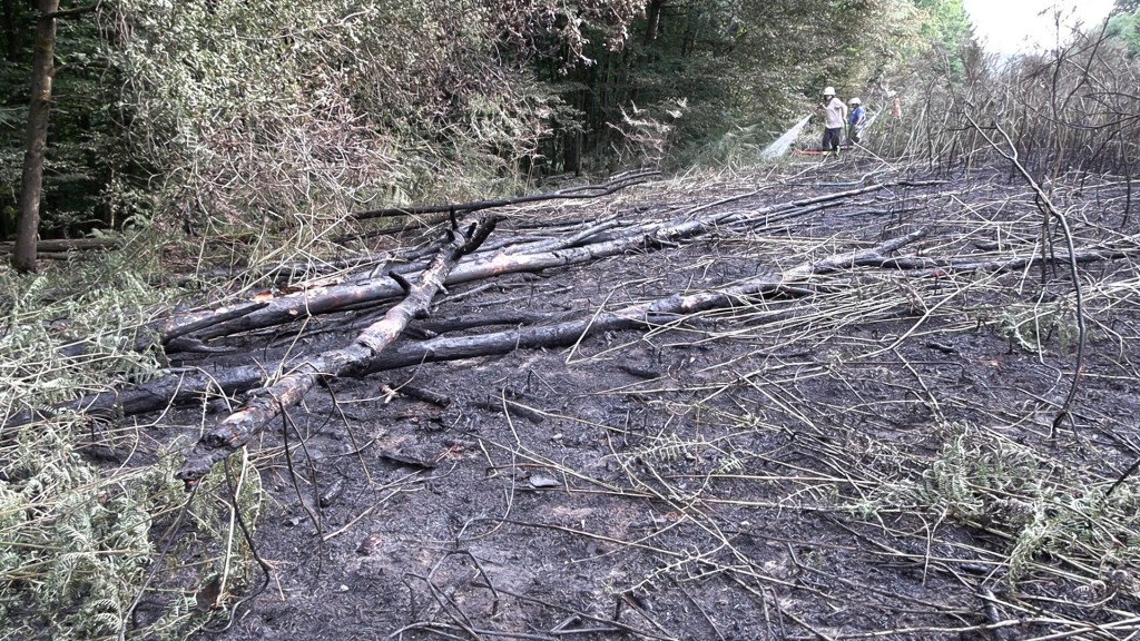 Verkohlter Wald nach Brand in Lauterbach