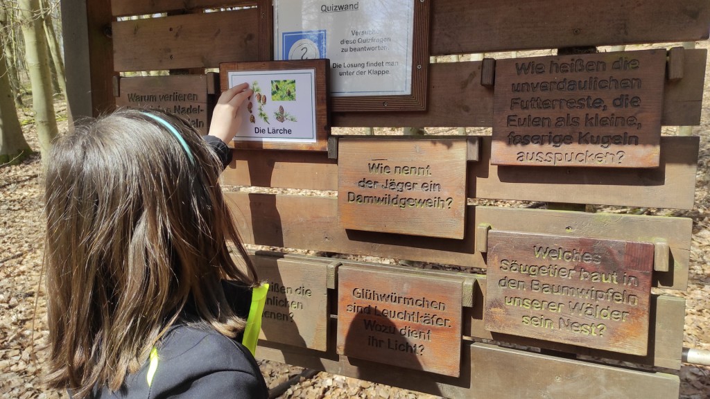 Ein Kind zeigt auf eine Infotafel im Bamster Wald