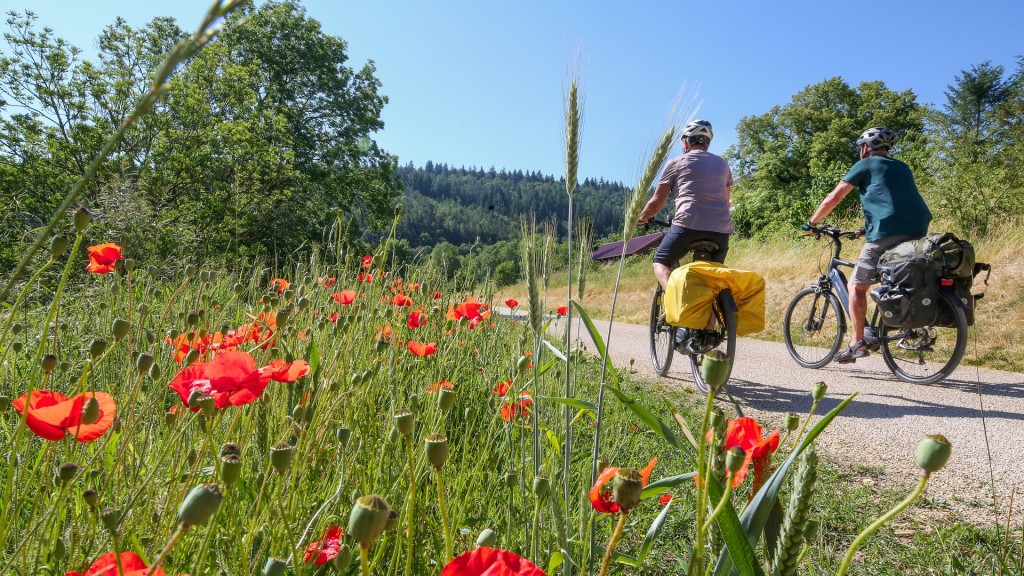 Radfahrer fahren an einem Feld mit Klatschmohn vorbei.