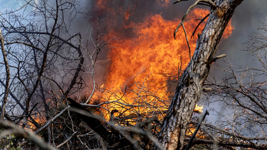 Waldbrand