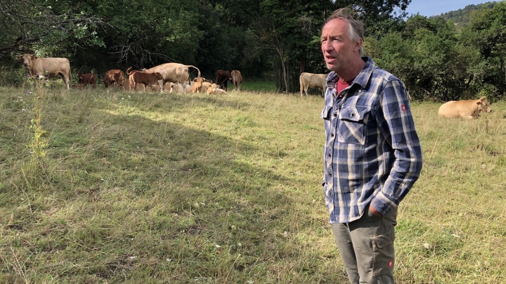 Landwirt Hans Pfeffer auf der Weide