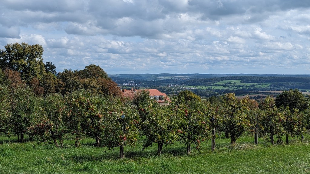 Streuobstwiesen mit Blick auf den Wintringer Hof