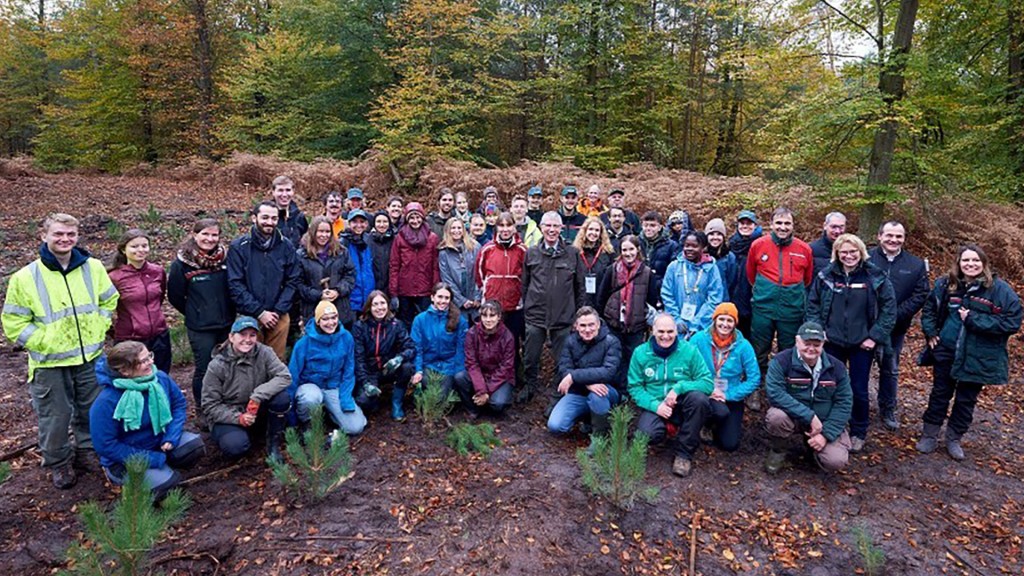 Jugendliche forsten den Wald zwischen Scheibenhardt und Wissembourg auf