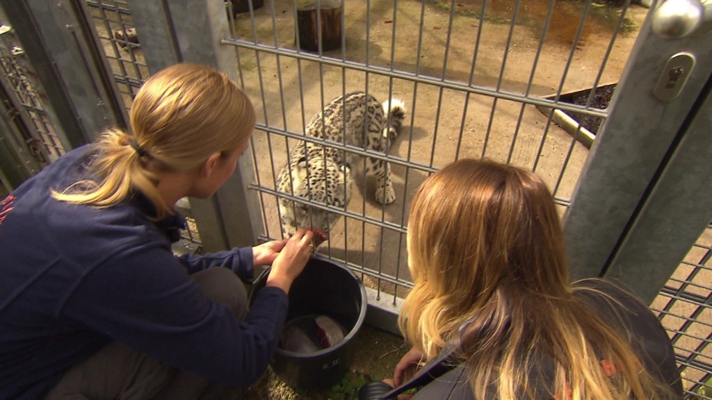 Im Zoo Neunkirchen