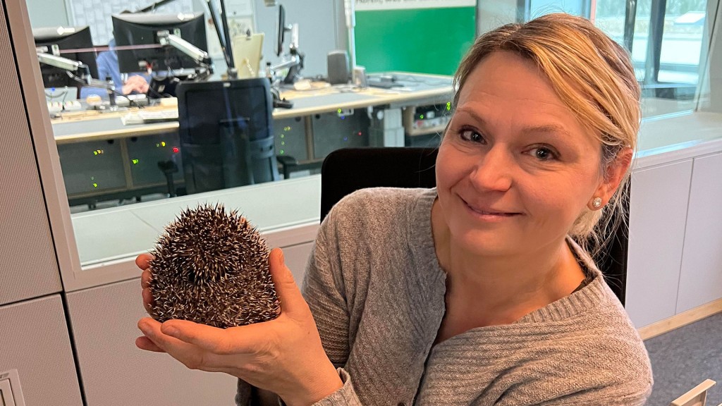 Myriam Hill von der Saarbrücker Wildpark-Akademie mit einem Igel