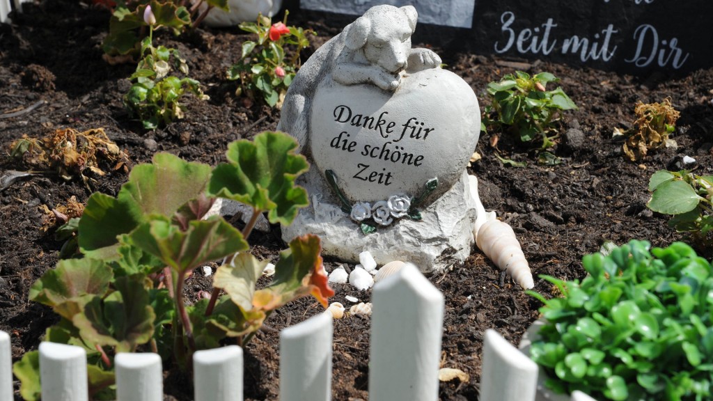 Grab auf dem Tierfriedhof