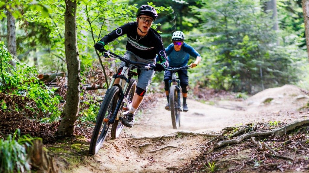 Zwei Mountainbiker fahren einen Singletrail hinunter.