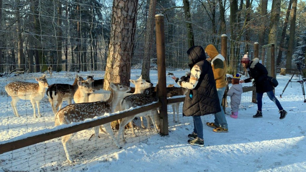 Wildpark in Wadgassen Differten