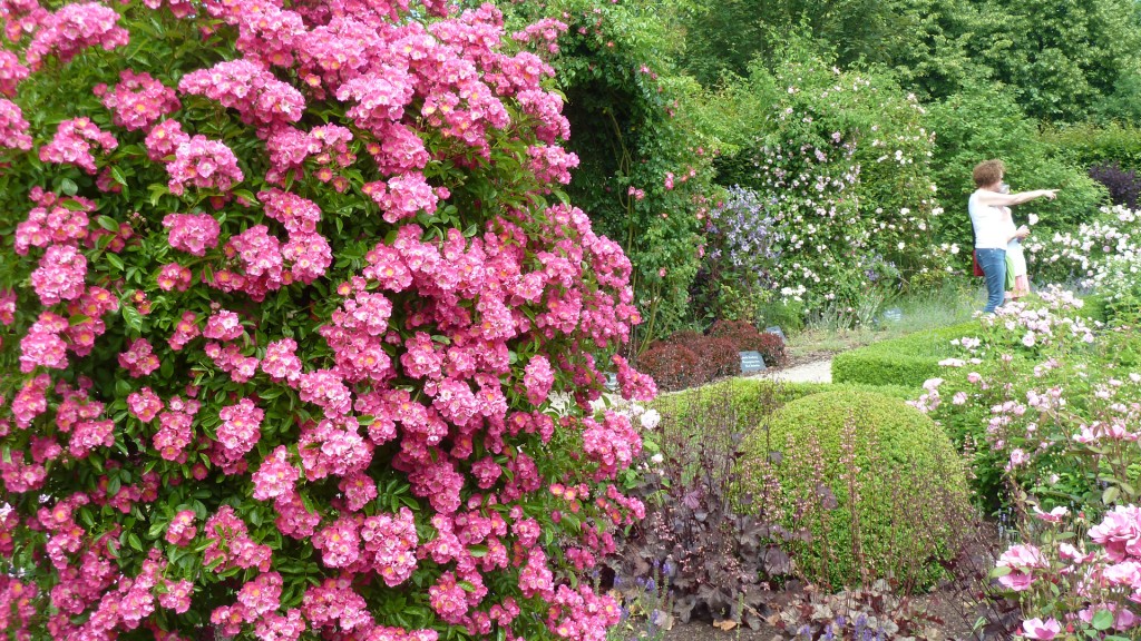 Fahr mal hin - Gartenreise zwischen Mosel und Saar