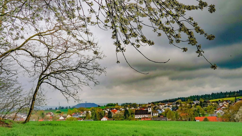 Kirschbaum im Tal, am Ortsrand von Elm, war in voller Blüte.