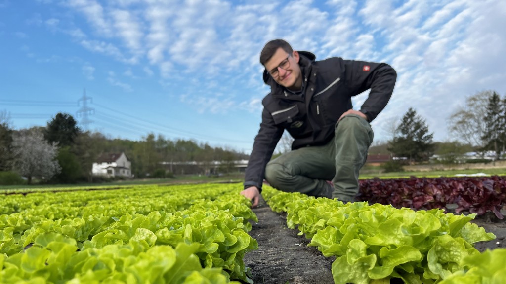 Marco Lonsdorfer und ganz junger Salat