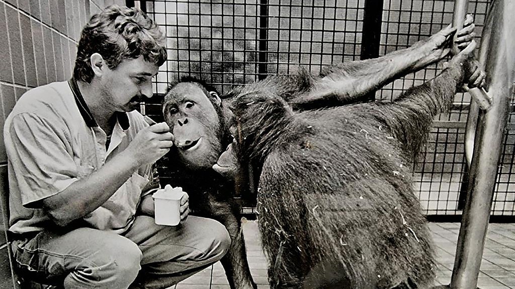 Klaus Mette mit den beiden Orang-Utans Sandra und Max