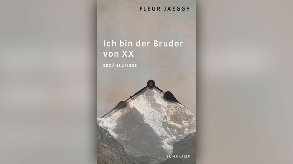 Buchcover: Fleur Jaeggy 