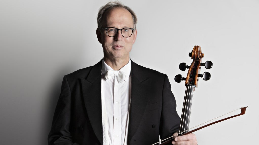 Mario Blaumer, Violoncello