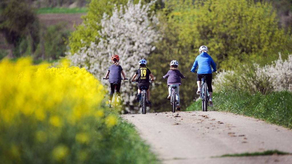 Radfahrer fahren an einem blühendem Rapsfeld vorbei