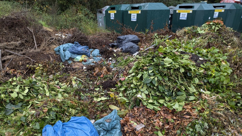 illegale Müllentsorgung am Eingang zum Almet, dem Naturschutzgebiet am Rande von Saarbrücken