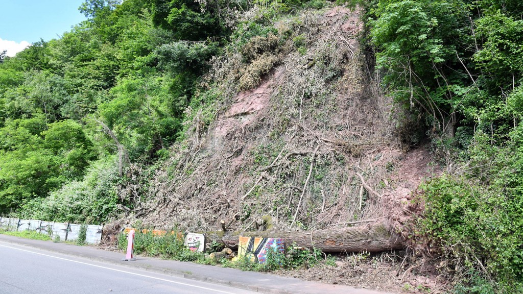 Hangrutsch in der Großblittersdorfer Straße Saarbrücken