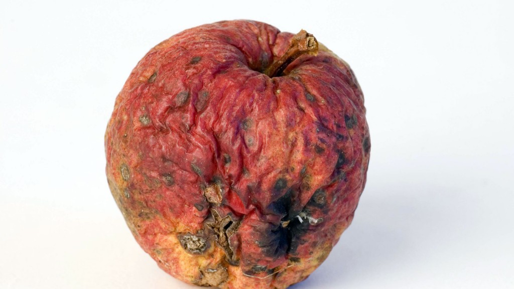 Foto: Ein verschrumpelter Apfel