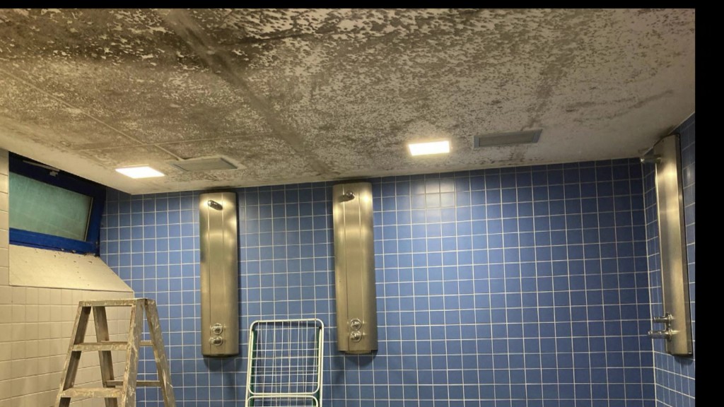 Foto: Zustand in einer Förderschule. Schimmel im Duschraum.
