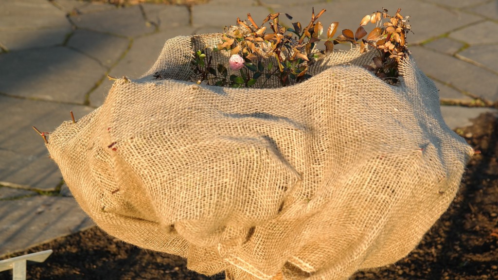 Frostschutz für Gartenpflanze