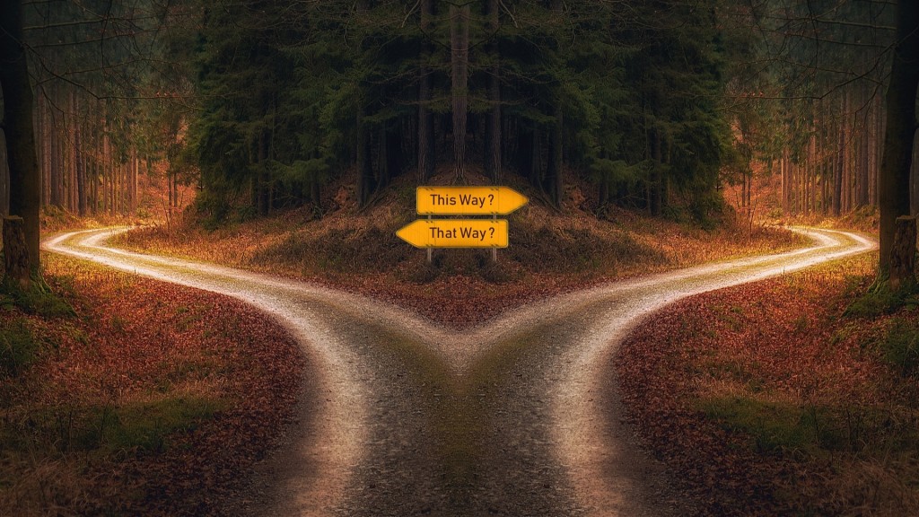 Eine Weggabelung in einem Wald mit zwei gelben Wegweisern. Auf den Wegweisern steht “This Way?” 