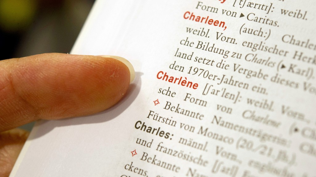 Jemand hält ein Fremdsprachen-Wörterbuch in der Hand