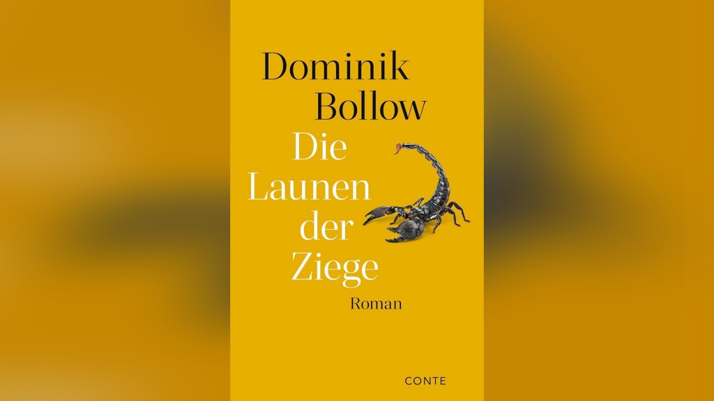 Domink Bollow