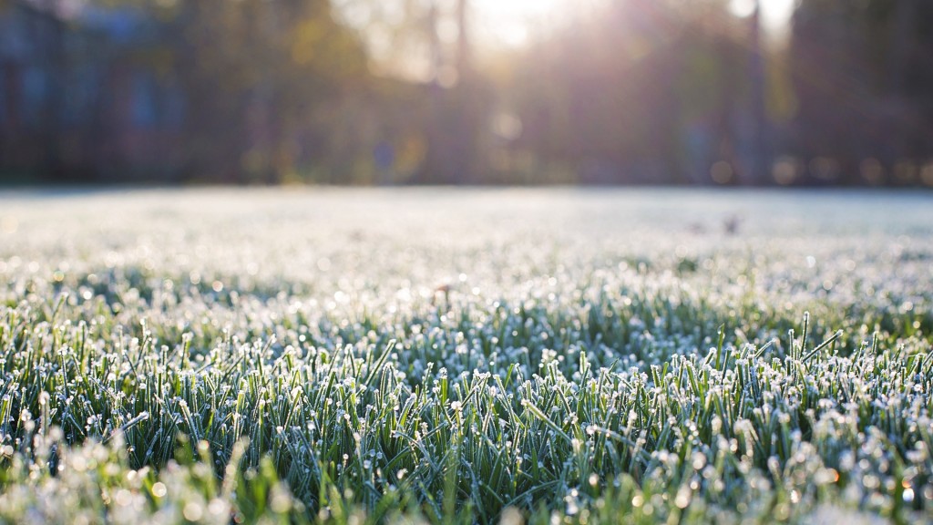 Garten nach dem ersten Frost