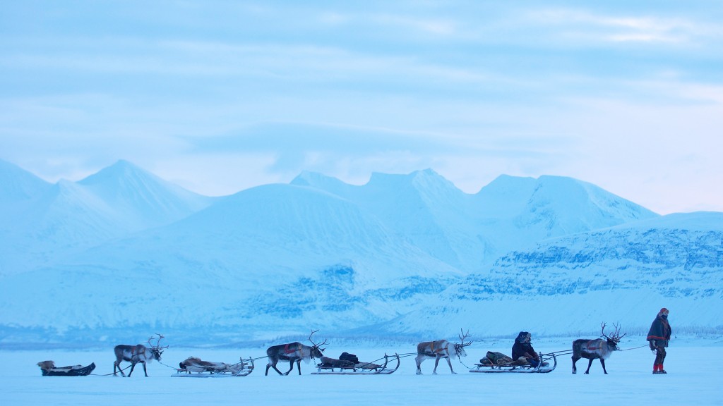 Rentiere ziehen Schlitten durch Schneelandschaft in Lappland