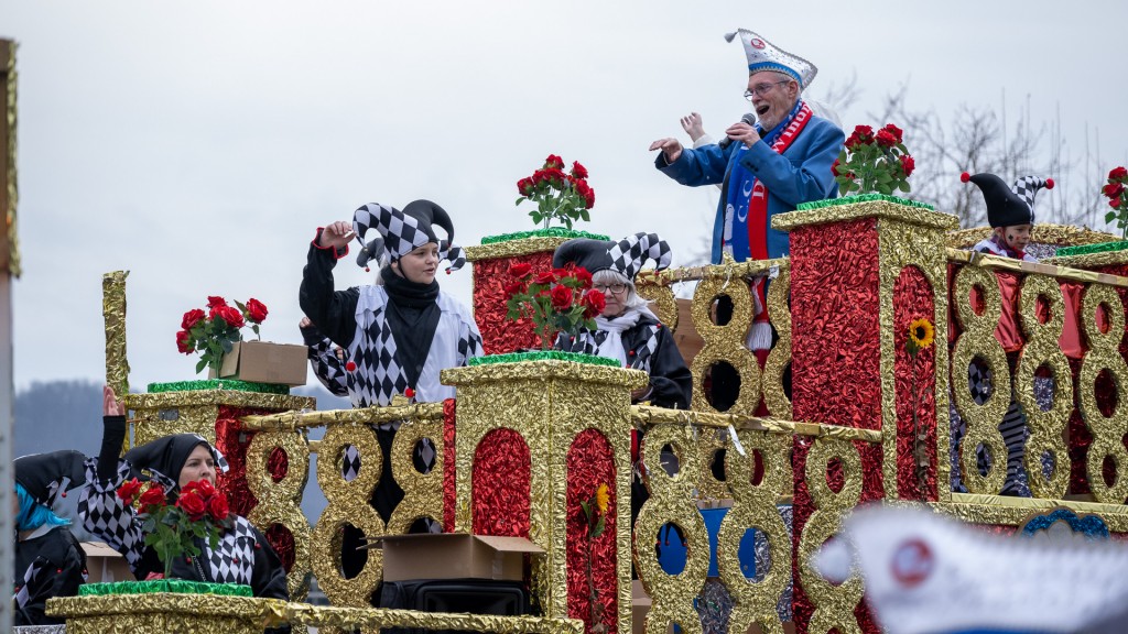 Ein glitzernder Wagen auf dem Umzug in Dillingen