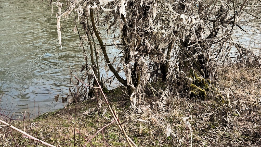 Müll nach dem Pfingshochwasser