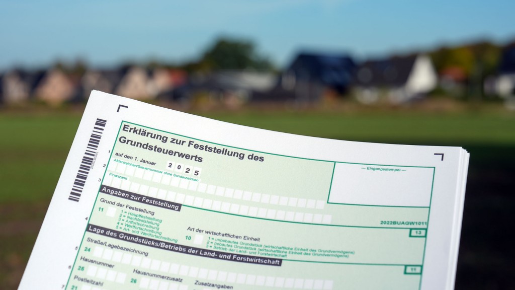 Ein Erklärung zur Feststellung des Grundsteuerwerts für das Jahr 2025 wird vor einer Wohnsiedlung hochgehalten